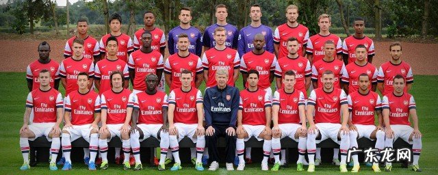 阿森纳不败赛季的阵容