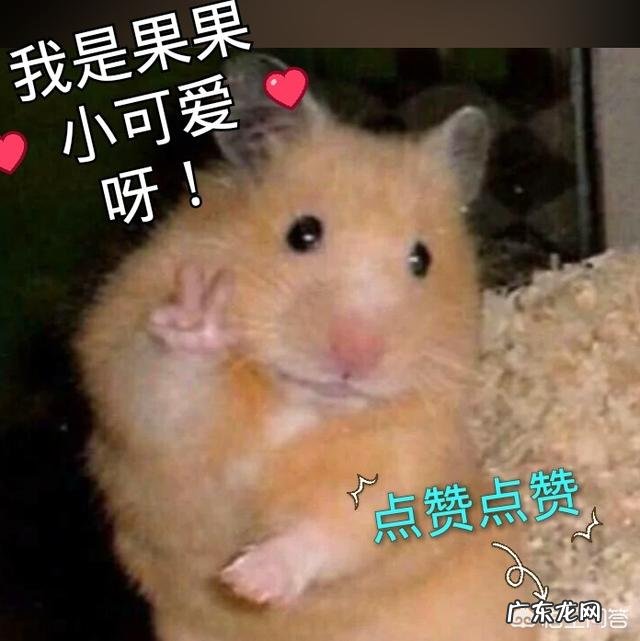 当一个男生给女生发我想你了,男生最想得到什么回复?