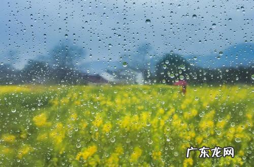 什么的春雨