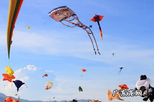 西南风是由什么吹向什么