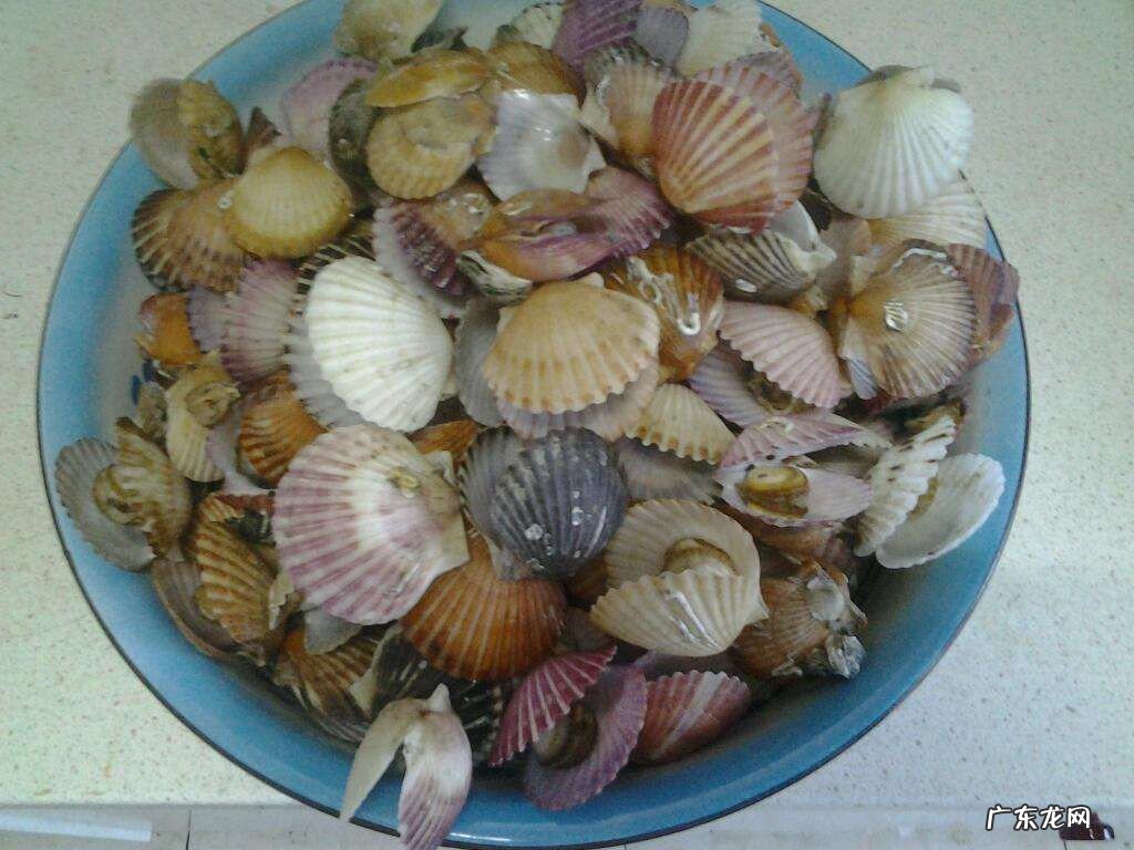 超市买的扇贝速冻怎么做好吃