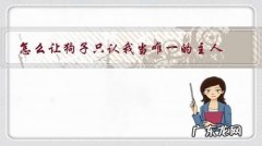 如何让小狗认我为主人 怎么让狗子只认我当唯一的主人？