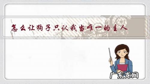 如何让小狗认我为主人 怎么让狗子只认我当唯一的主人?