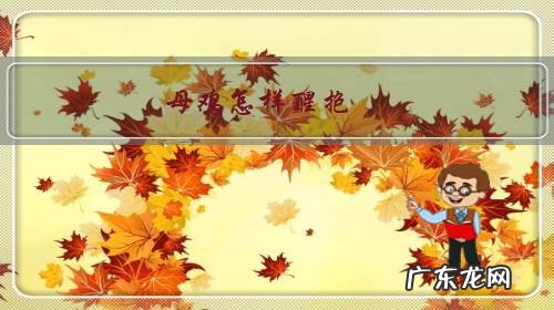 怎样让抱窝母鸡醒抱 母鸡怎样醒抱?注意什么?