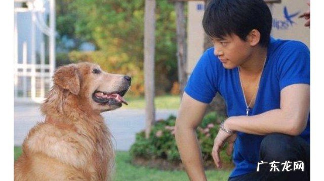 爱在旅途大结局