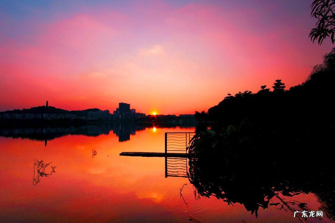 手机广角镜头与超广角镜头的区别