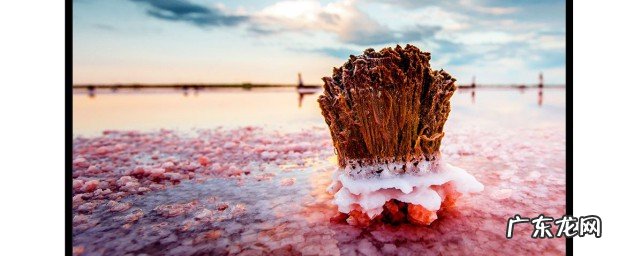 newtv极光怎么看电视直播