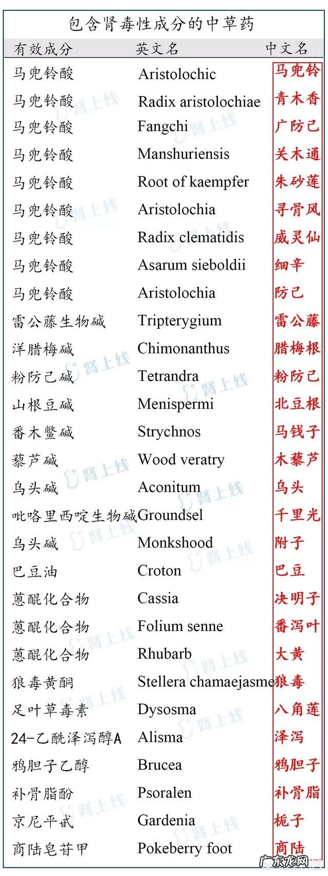 在常用的中草药中,什么东西对肾有副作用有何依据
