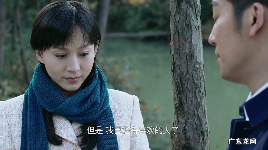 孙向东苏扬是什么电视剧