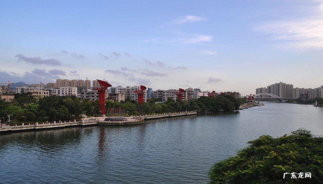 粤t是哪里的车牌