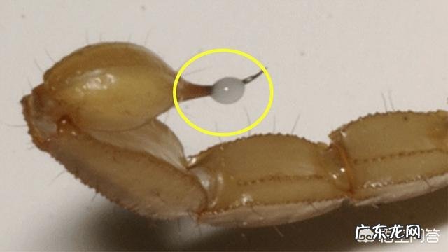 地球上最贵的液体到底有多贵