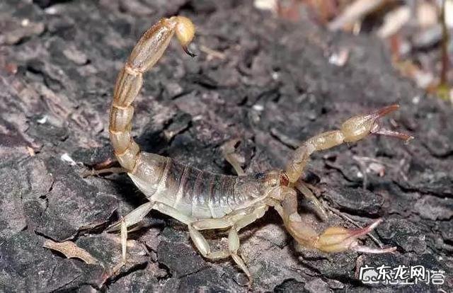 地球上最贵的液体到底有多贵