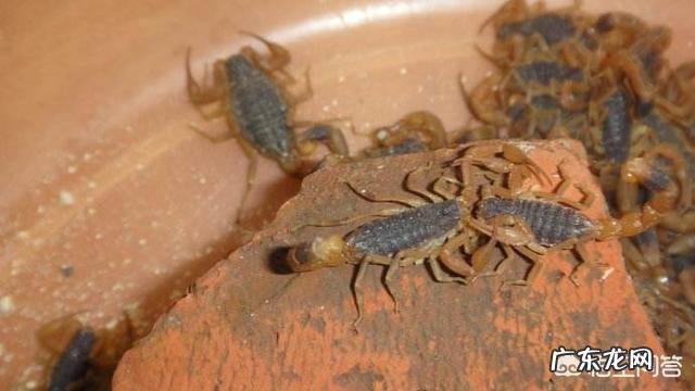 地球上最贵的液体到底有多贵