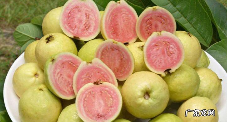 芭乐怎么吃最好