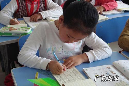 三年级上册昆虫备忘录怎么写