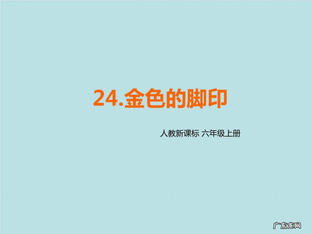 金色的脚印主要内容