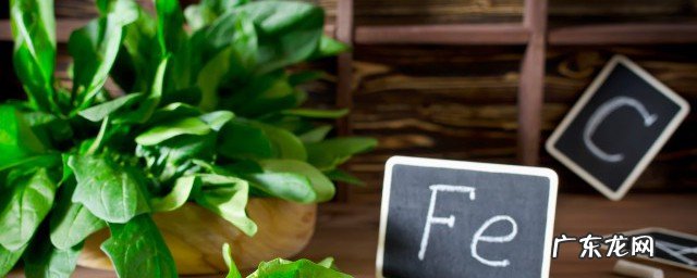 怎样养生吃什么食物