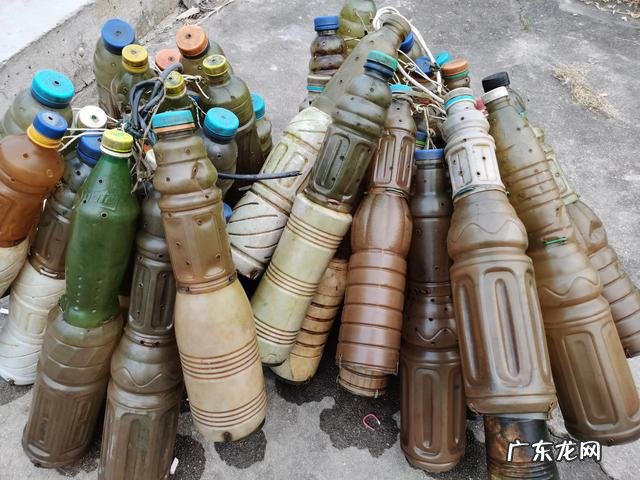 如果在山上挖一个池塘,不放鱼,里面会慢慢有鱼吗