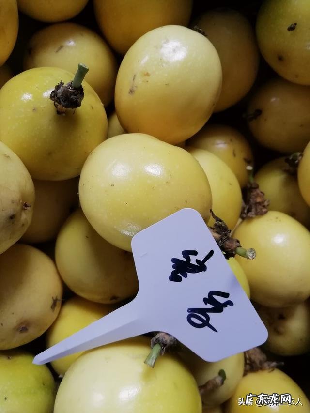 为何感觉现在越来越多的人不喜欢吃百香果了