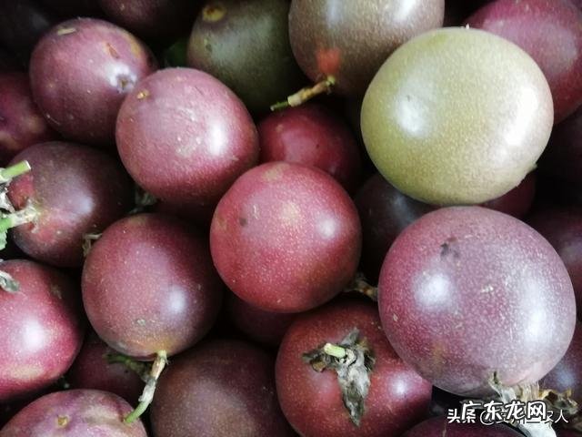 为何感觉现在越来越多的人不喜欢吃百香果了