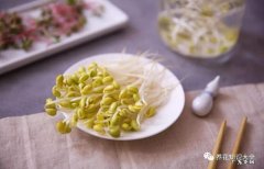 在家怎么发绿豆芽窍门