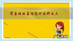 箭毒蛙为什么有毒 箭毒蛙的毒性为什么那么大？