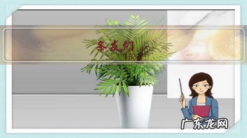 条友们,你们第一次写方案怎么写的,在没有类似经验情况下?