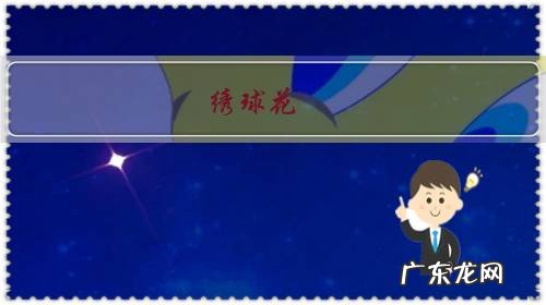 绣球花：无论夏冬天开花持续到春天，什么情况，不知道花期过后怎么修剪？