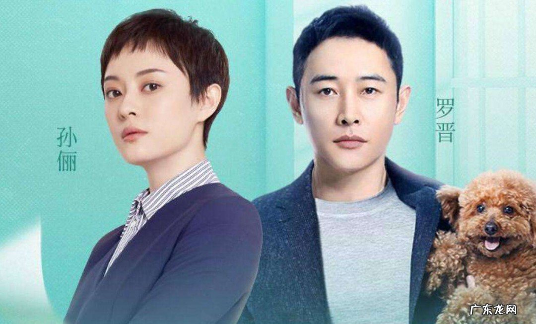 安家孙俪和罗晋不是一对