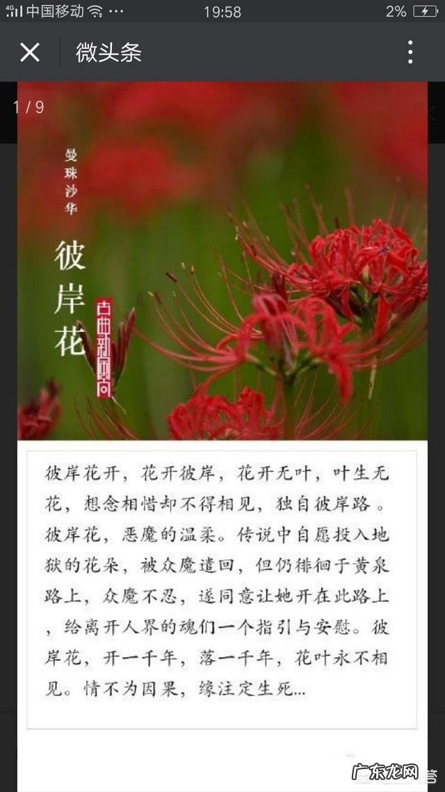 女汉子与女神的本质区别是什么?