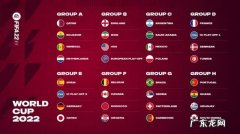 2022年卡塔尔世界杯夺冠赔率更新