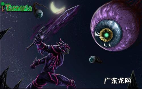 泰拉瑞亚专家新三王如何打