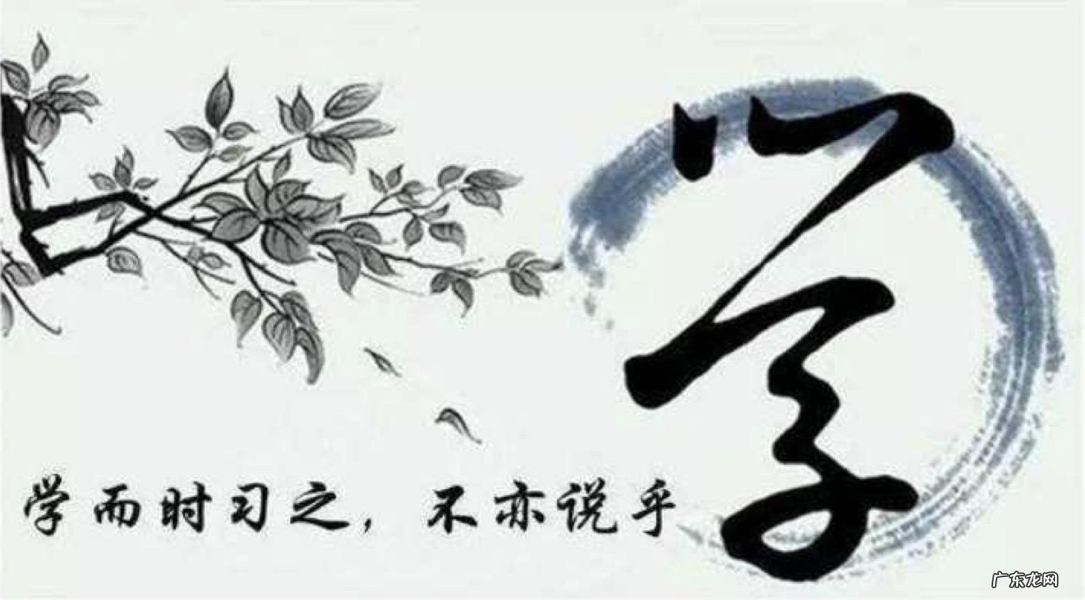 学而时习之不亦乐乎的意思