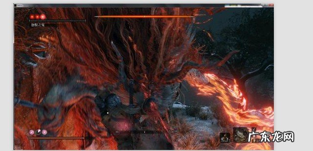 骷髅怨恨哪里多