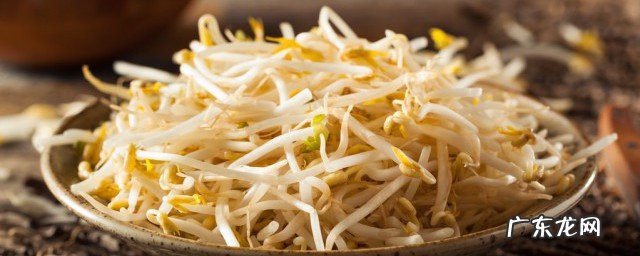 豆芽在土里怎么发