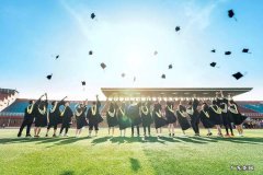 大专自考有啥专业