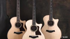 十种不适合学吉他的人