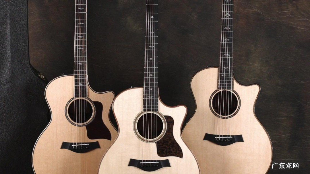 十种不适合学吉他的人