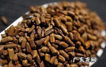 常喝决明子会有什么害处吗