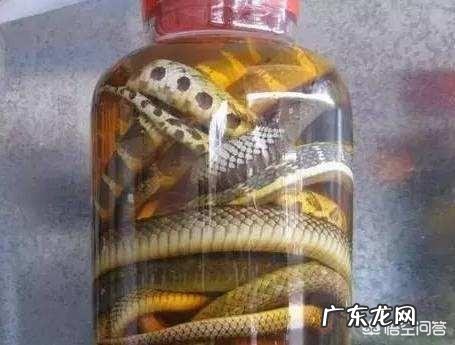 你觉得哪些广告是骗人的,大家应该注意