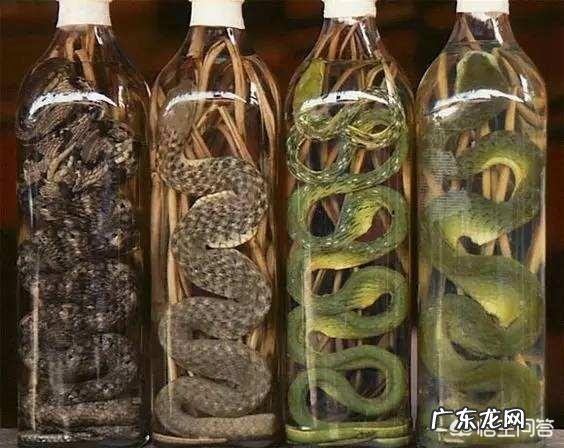 你觉得哪些广告是骗人的,大家应该注意