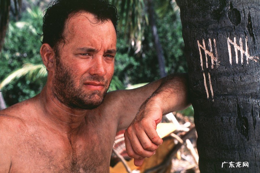 荒岛余生深度影评