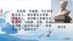 杨万里是哪个朝代的诗人