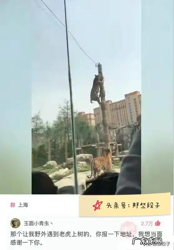 你见过哪些惊为天人的神评论