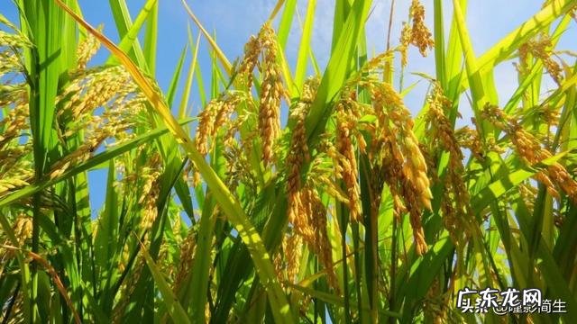 真有能笑死人的图吗具体如何