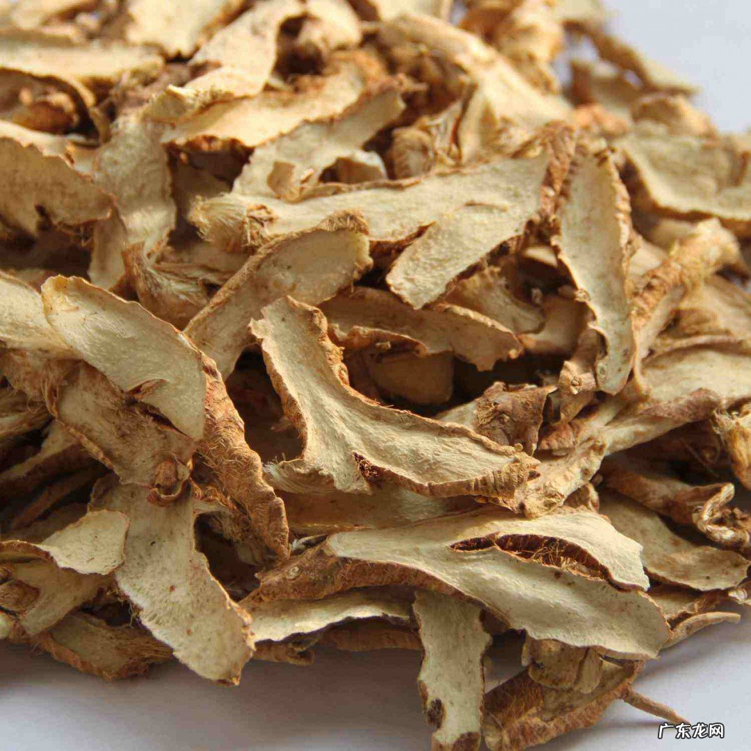 知母泡水喝有什么作用