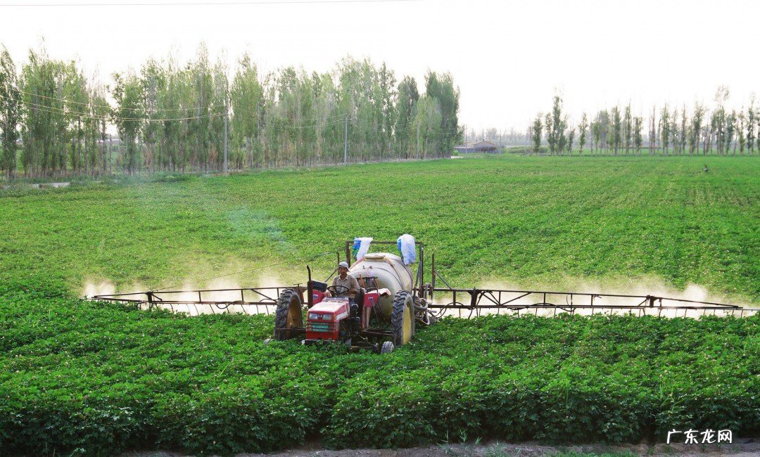 植物施肥方法及肥料推荐