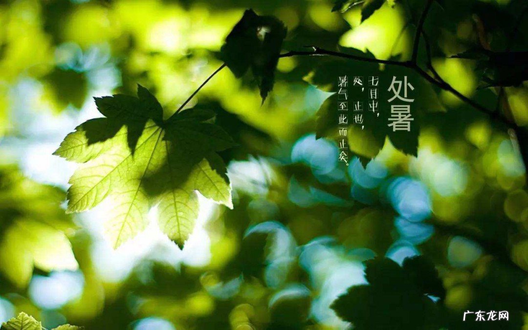 描写大自然的诗歌