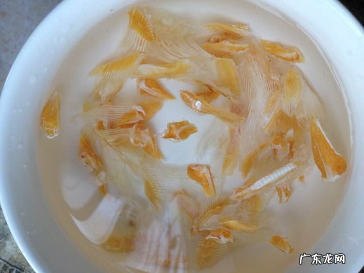 冰冻鱼翅怎么煮
