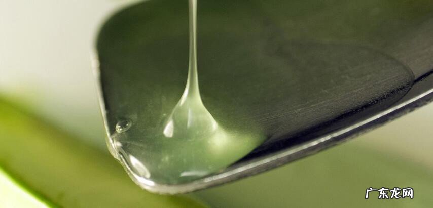 生芦荟擦脸的正确方法